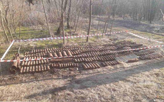 В лесах Березовки нашли около 400 боеприпасов (фото) usionline.com В лесах Березовки нашли около 400 боеприпасов (фото) «фото»