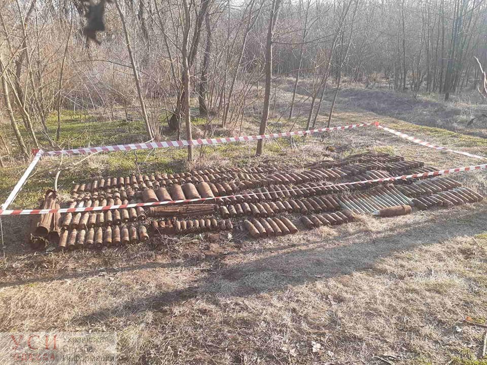 В лесах Березовки нашли около 400 боеприпасов (фото) «фото»