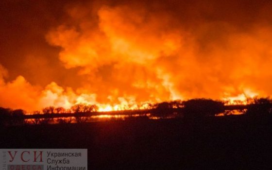 Пожар в дельте Днестра: под Одессой снова горел национальный парк «фото»
