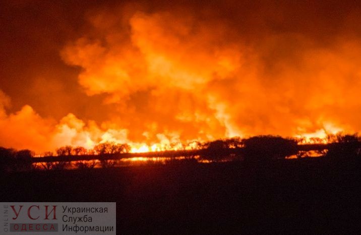 Пожар в дельте Днестра: под Одессой снова горел национальный парк «фото»