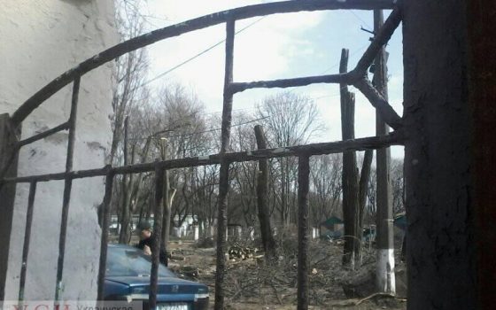 Под шумок карантина: в бывшем лагере “Антарктика” продолжают вырубать деревья (фото) «фото»