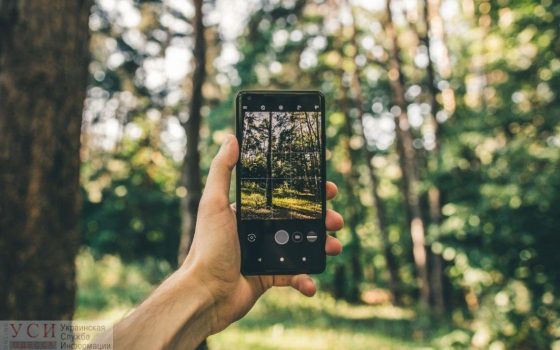“Лес в смартфоне”: в электронный реестр добавили Одессу и еще 13 областей «фото»