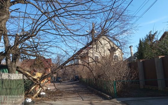 Последствия непогоды: в Одессе до сих пор не убрали деревья (фото) usionline.com Последствия непогоды: в Одессе до сих пор не убрали деревья (фото) «фото»
