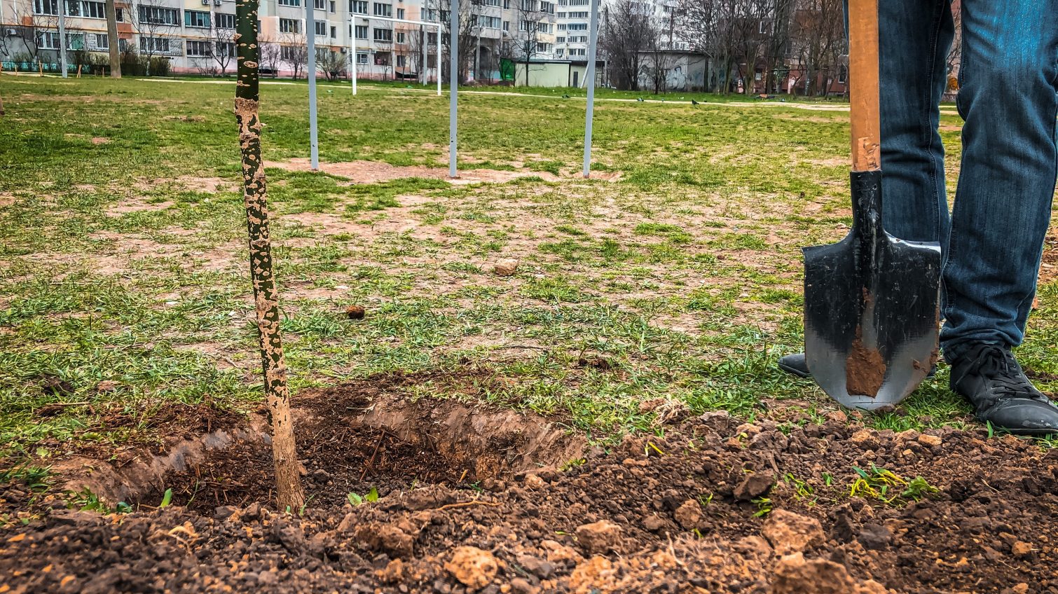 Дождь и карантин эко-активизму не помеха: на 15 Фонтана высадили деревья (видео) ОБНОВЛЕНО «фото»