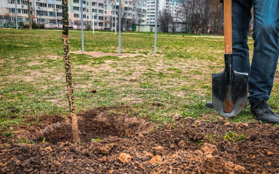 Дождь и карантин эко-активизму не помеха: на 15 Фонтана высадили деревья (видео) ОБНОВЛЕНО «фото»