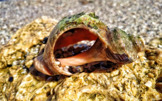 Воскресенье будет пасмурным и дождливым «фото»