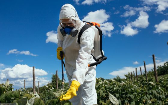 Карантинные санкции не коснутся украинских фермеров, но они будут работать в масках «фото»