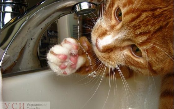 С завтрашнего дня на Пересыпи больше суток не будет воды «фото»