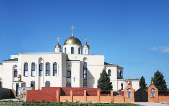 В Теплодаре монахиня заболела коронавирусом – она работала до последнего ОБНОВЛЕНО «фото»