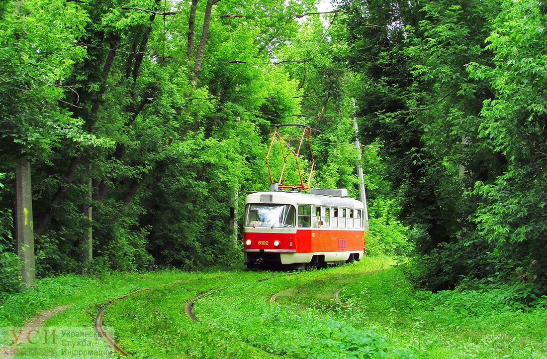 В Суворовском районе открыли два временных трамвайных маршрута: летний и на период карантина (карта) «фото»