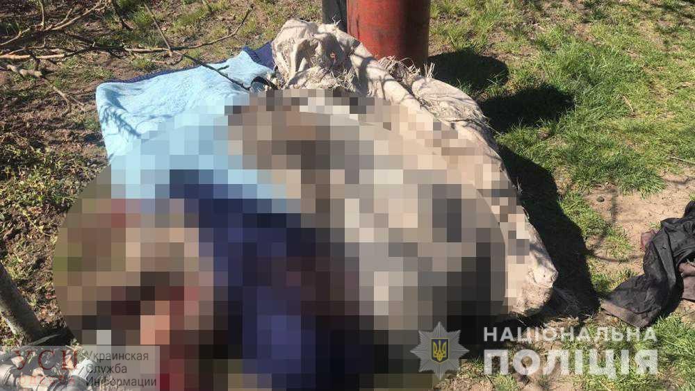 Смертельная ревность: в Одесской области 25-летний парень убил пожилого мужчину «фото»