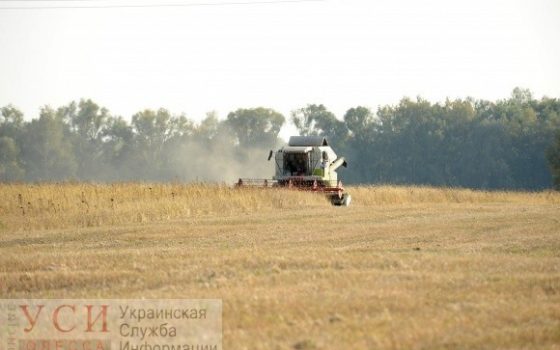 Одесские аграрии просят объявить чрезвычайную ситуацию: засуха уничтожила посевы «фото»