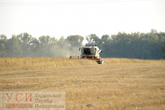 Одесские аграрии просят объявить чрезвычайную ситуацию: засуха уничтожила посевы «фото»