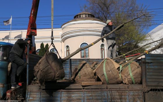 “Зеленый тоннель” – на Фонтане закончили высаживать живую изгородь (фото) usionline.com “Зеленый тоннель” – на Фонтане закончили высаживать живую изгородь (фото) «фото»