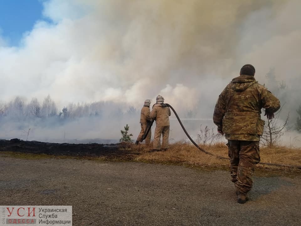 Одесские спасатели помогают тушить пожар в Чернобыле (фото) «фото»