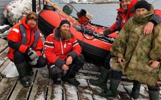 Украинские ученые нашли новые виды морских животных в Антарктиде (фото) «фото»