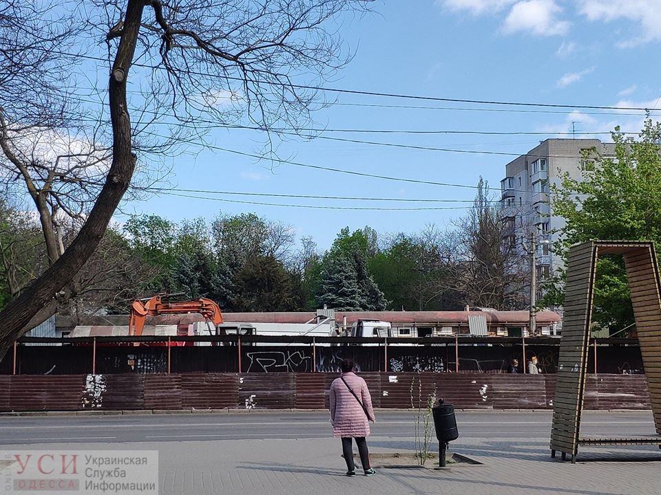 На поселке Котовского из-за строительства вырубают здоровые деревья (фото, документ) «фото»