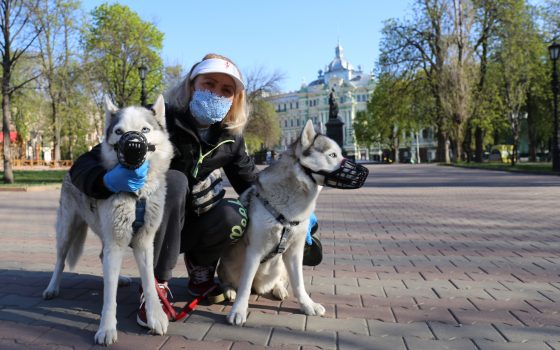 Весна в городе: цветущие растения, прогулки с домашними питомцами и уличные обитатели (фоторепортаж) «фото»