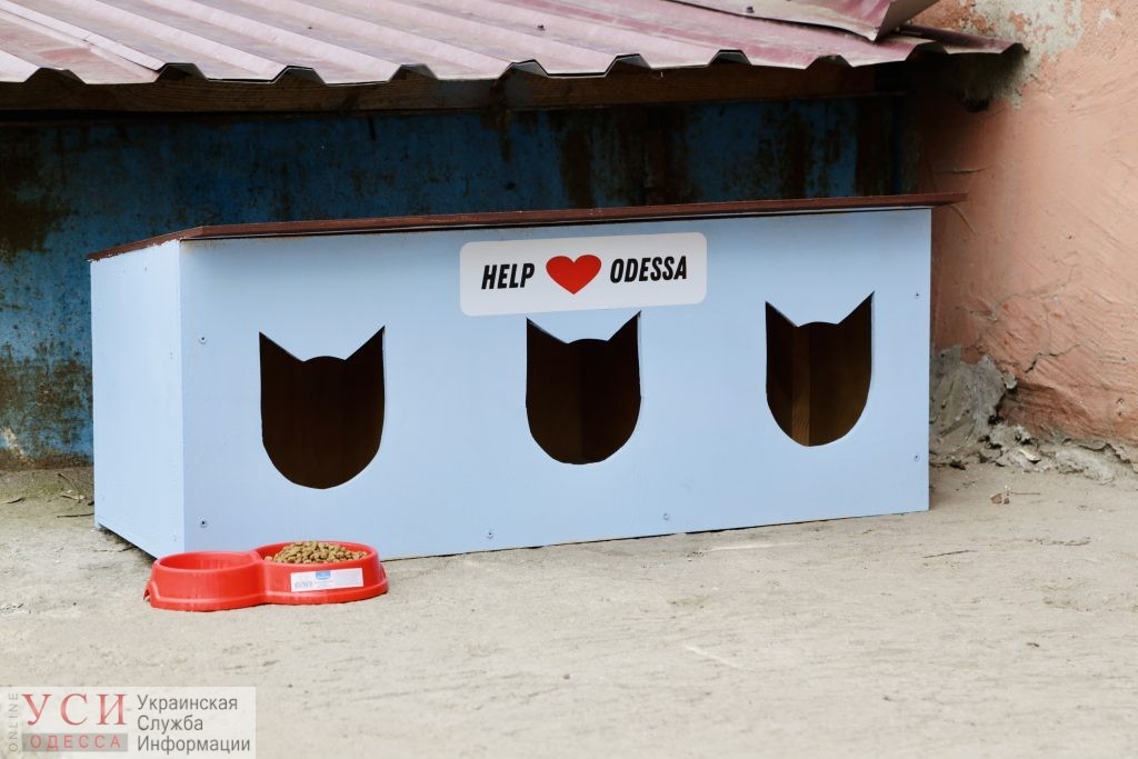 Кто-то строит, кто-то ломает: в Одессе разбили волонтерские домики для бездомных котов «фото»