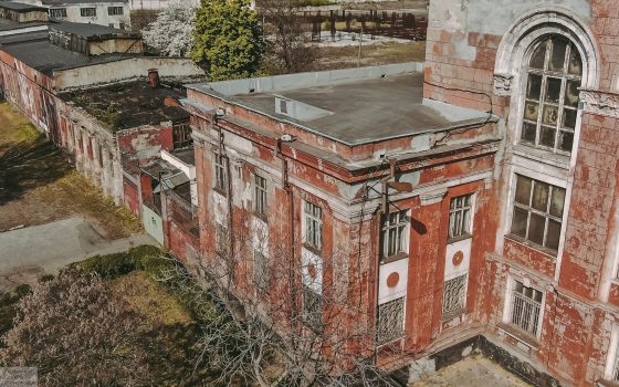 Природа берет свое: как в Одессе завод сельхозтехники превращается в лес (фото и видео) «фото»