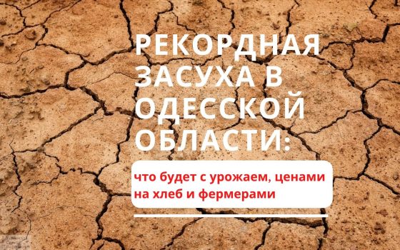 Рекордная засуха в Одесской области: фермеры говорят о чрезвычайной ситуации и не знают, что будет с урожаем «фото»