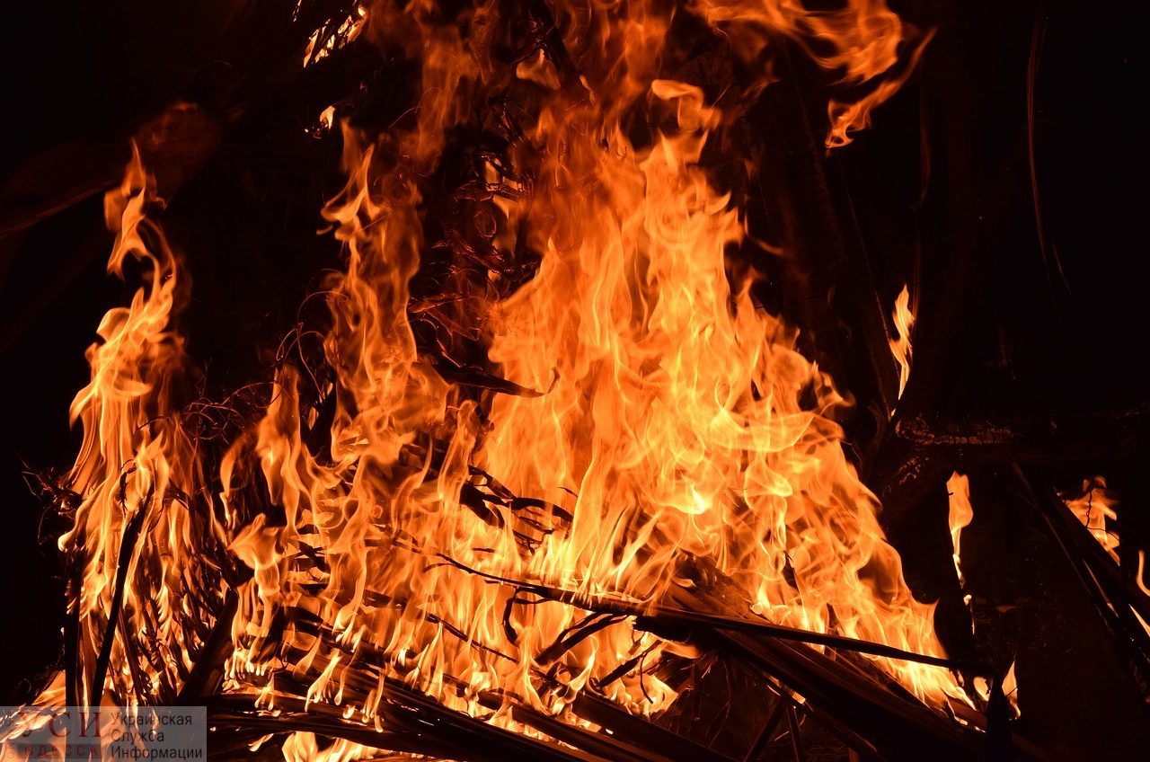 На Каролино-Бугазе пожар: горит сухая трава (видео) «фото»