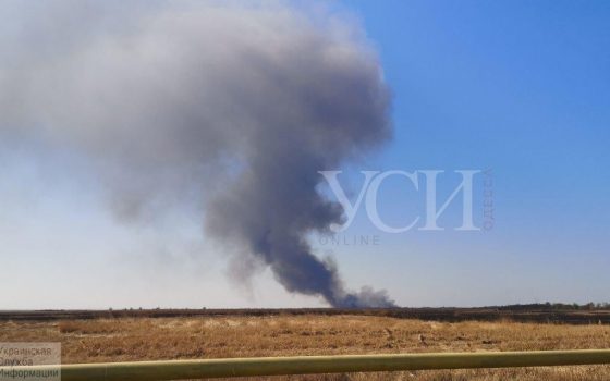 Под Маяками пожар: горит территория национального парка (фото, видео) ОБНОВЛЕНО «фото»