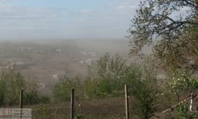 Пылевая буря накрыла север Одесской области (фото, видео) «фото»