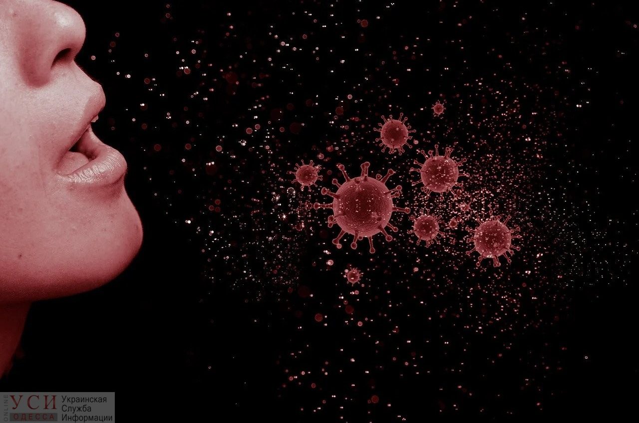 В Подольске вспышку коронавируса вызвали заробитчане «фото»