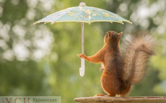 В воскресенье в Одессе ожидается легкое похолодание и дождь «фото»