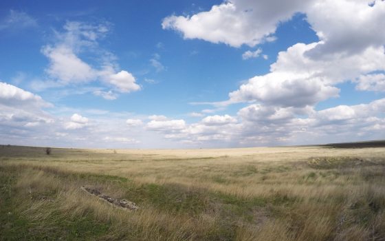 Победа экологов: определили границы заповедной Тарутинской степи «фото»