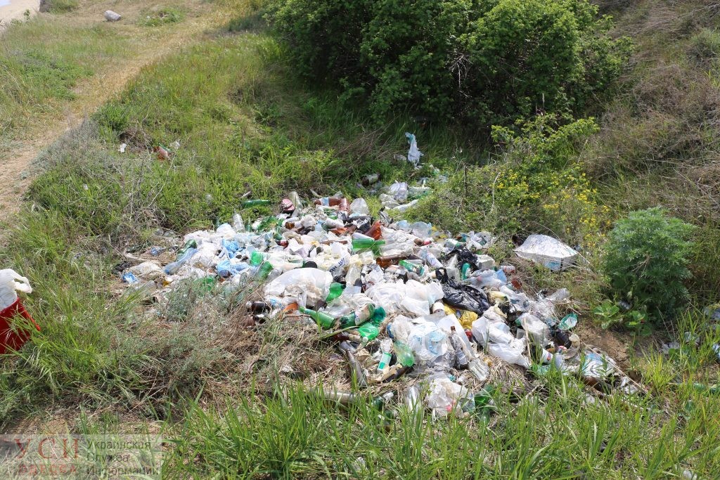 Под Одессой турист из Испании собрал 20 контейнеров мусора