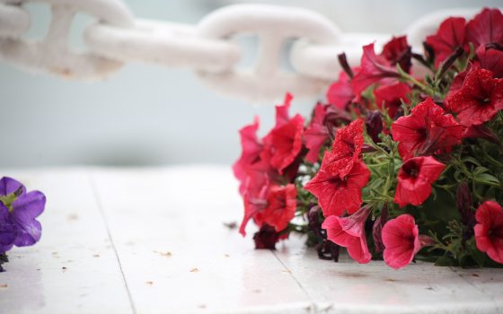 Одесситам обещают теплое, но дождливое воскресенье «фото»