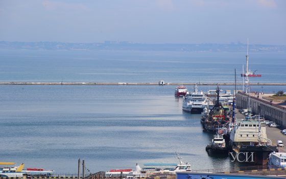 Уходящая весна и прохладные майские дни в Одессе (фоторепортаж) «фото»