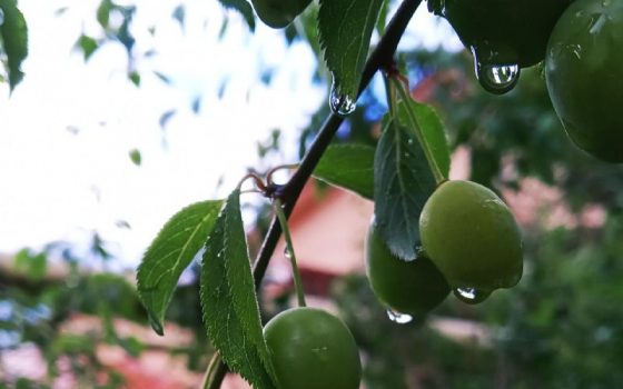 В Одессе будет прохладно и дождливо «фото»