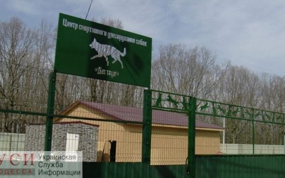 Снести Догтаун: любимое детище депутата партии Труханова хотят убрать через суд (фото, видео) «фото»