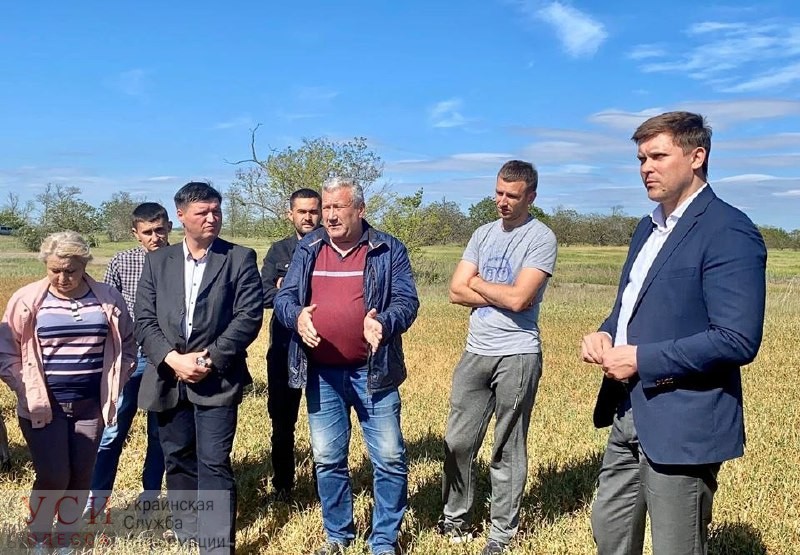 Одесская область рискует остаться без урожая: глава области обратился к правительству «фото»