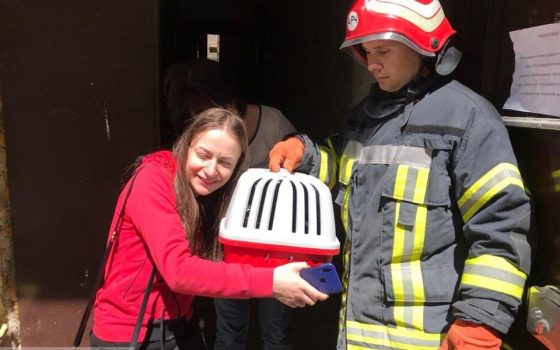 Хэппи-энд: пропавшего кота Тео нашли на чердаке рухнувшего дома на Торговой (фото) «фото»