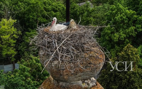 В пятницу в Одессе и области опять ожидается дождь «фото»