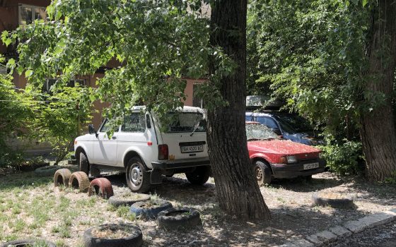 Нашествие тополиного пуха в Одессе: Слободка уже задыхается (фоторепортаж) «фото»