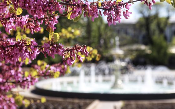 Пятница будет теплой и солнечной «фото»
