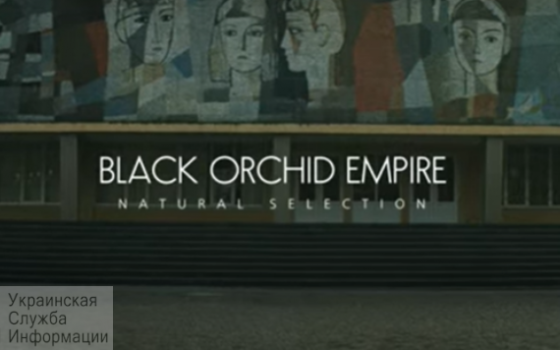 Рок-группа Black Orchid Empire сняла новый клип в Одессе (видео) «фото»