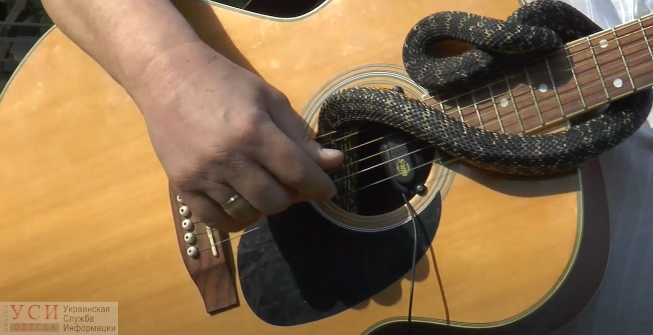 Директор Одесского зоопарка сыграл на гитаре с живой змеей и спел на украинском языке (видео) «фото»