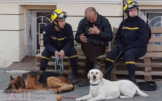 Ночью собаки искали под завалами людей на Торговой (фото) «фото»