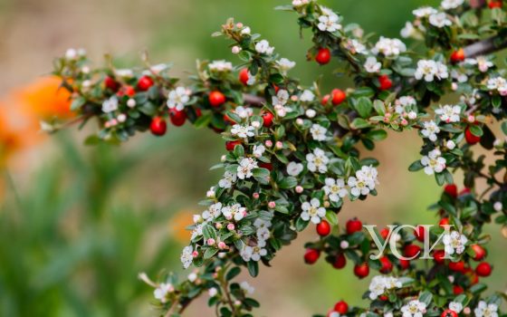 Понедельник в Одессе будет пасмурным «фото»