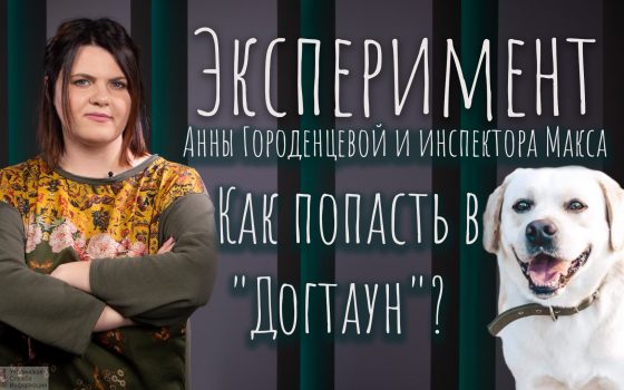 Эксперимент УСИ: Как попасть в “Догтаун”? «фото»