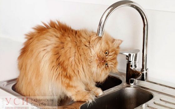 На Черемушках на целый день отключат воду «фото»