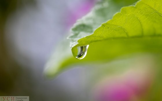 Синоптики: среда в Одессе будет теплая, но с дождем и грозой «фото»