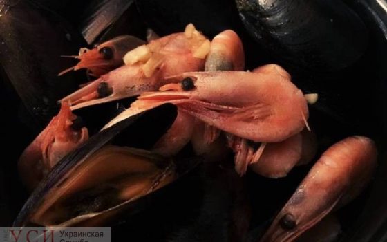 В Черном море запретили вылов креветок и мидий «фото»