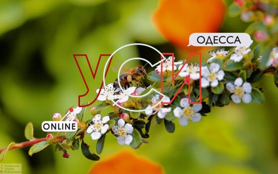 Море цветов: в Одесском ботсаду сезон весенних ароматов (видео) «фото»